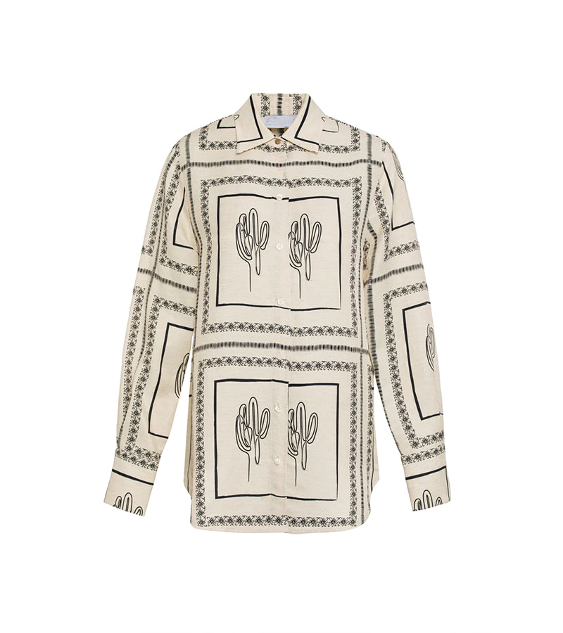 Conjunto - CACTUS
